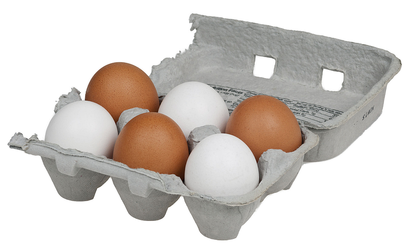 Cholesterol and Eggs Debate