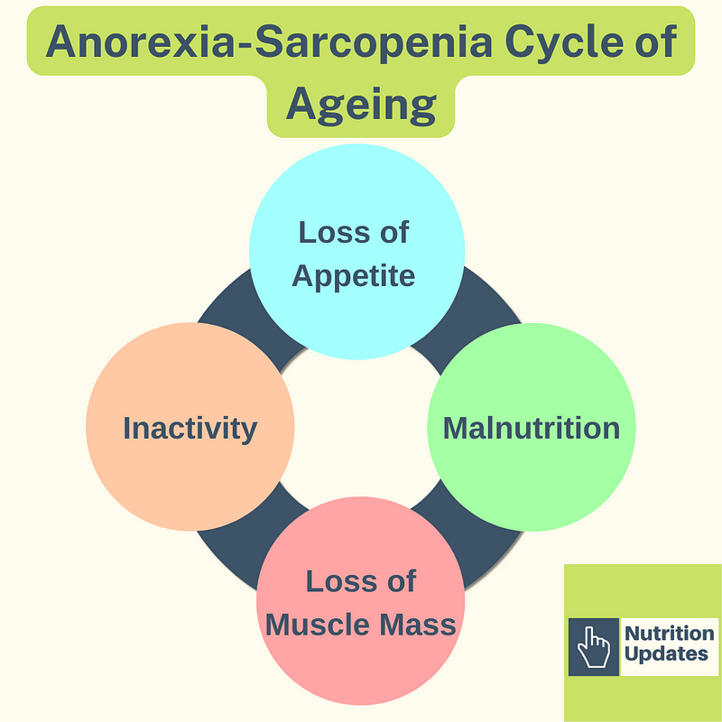 Research on Anorexia and Sarcopenia