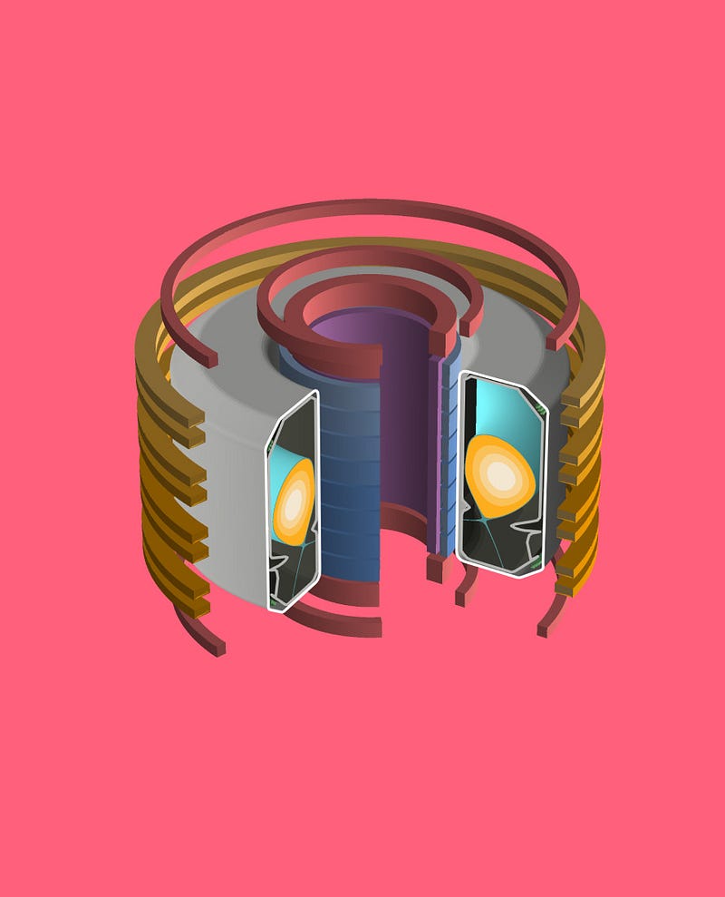 Cross-section diagram of a tokamak reactor