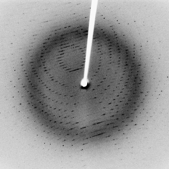 X-ray diffraction pattern of a protein structure