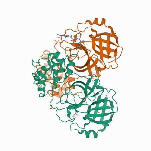 Structure of SARS proteinase, vital for drug design