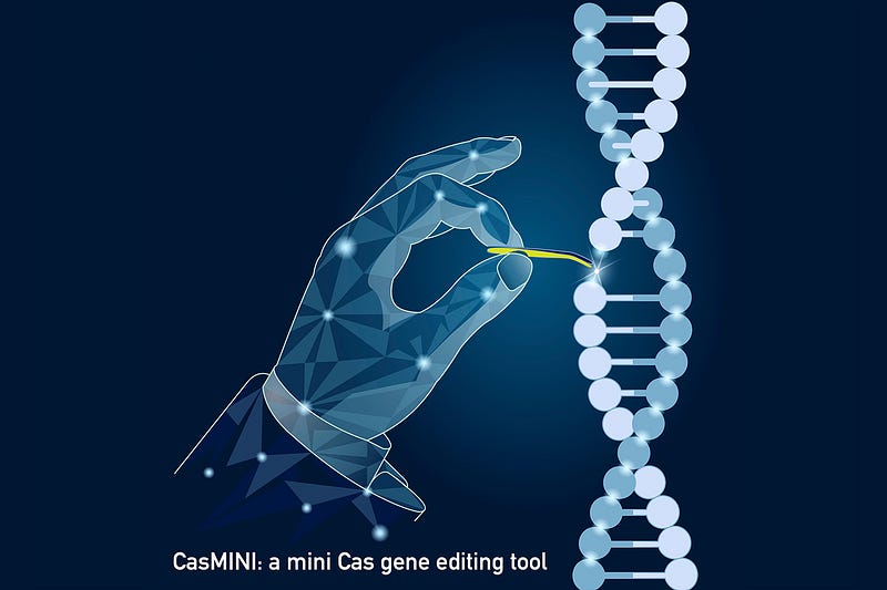 Miniaturized CRISPR System