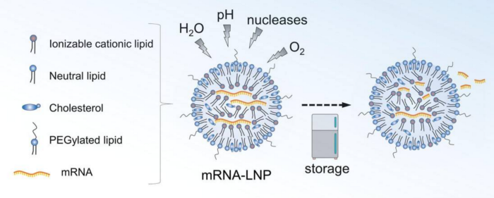 Diagram illustrating mRNA vaccine components