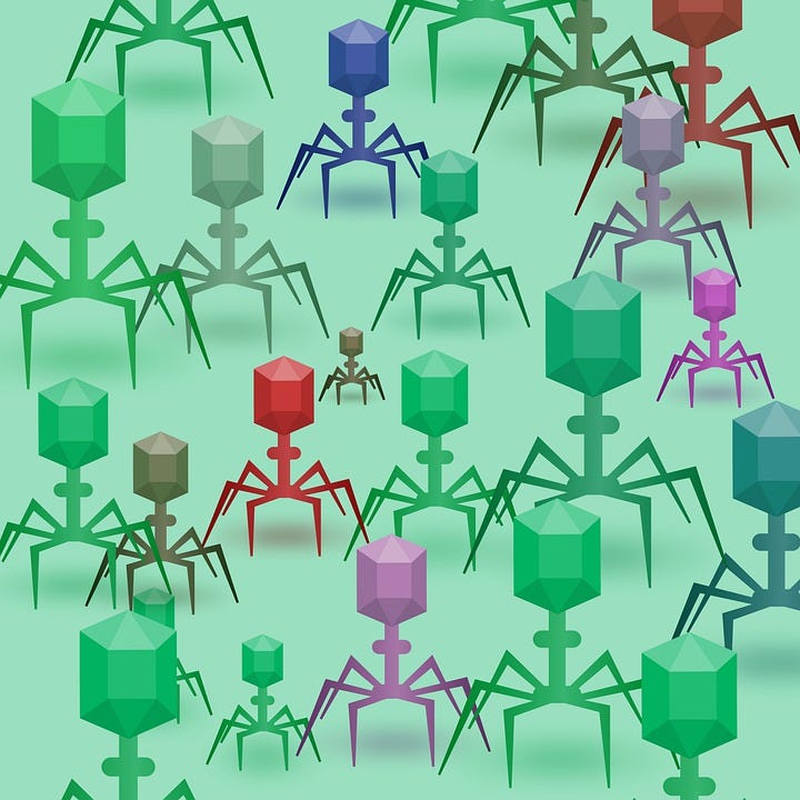 Bacteriophages targeting gut bacteria