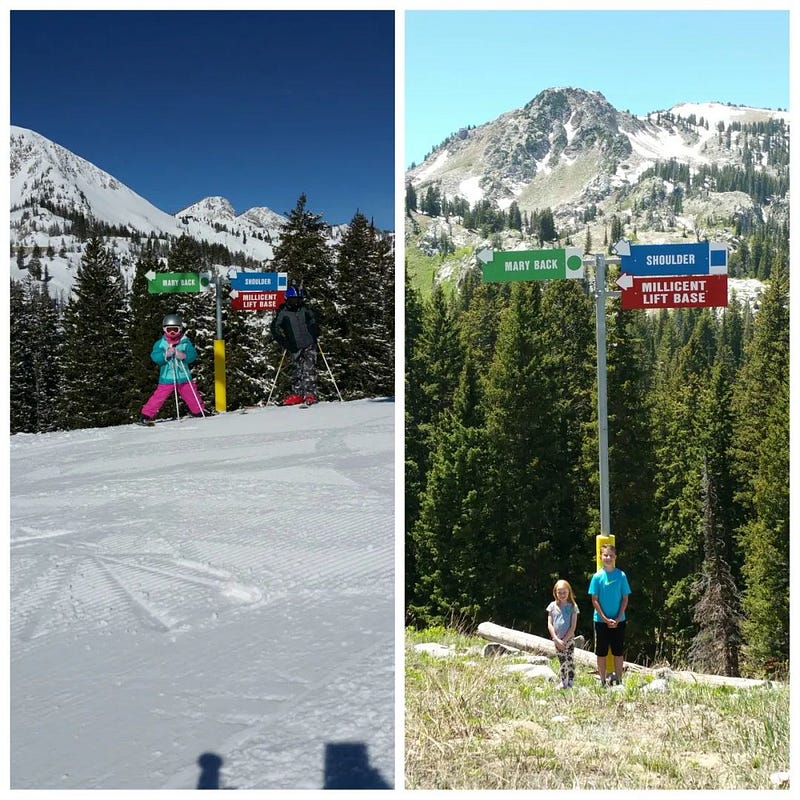 Ski Resort Winter vs Summer