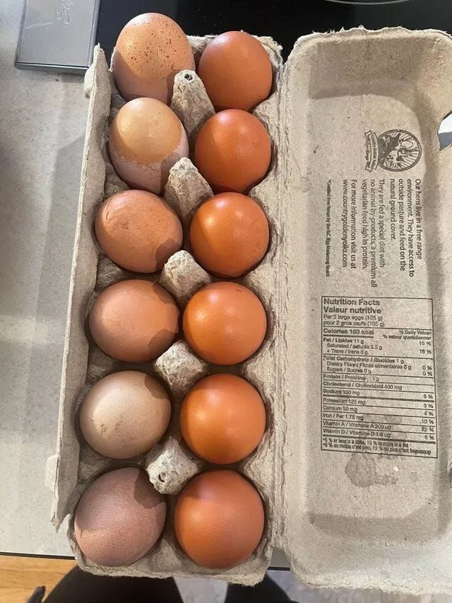 Egg Comparison: Old Hen vs Young Hen