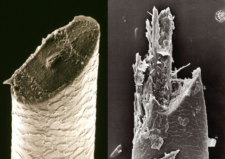 Traditional vs Electric Shaver