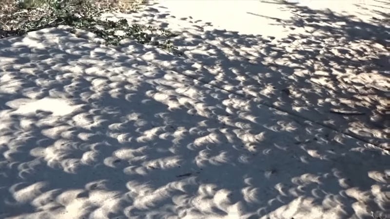 Crescent shadows during a solar eclipse