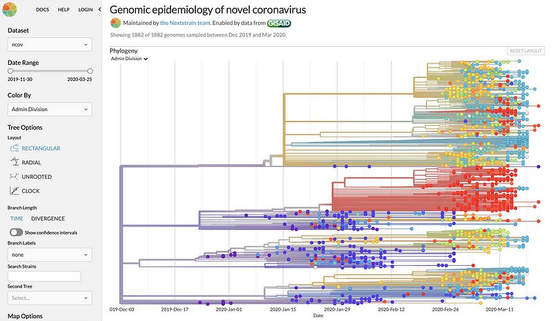 Nextstrain's Phylogenetic Analysis of COVID-19