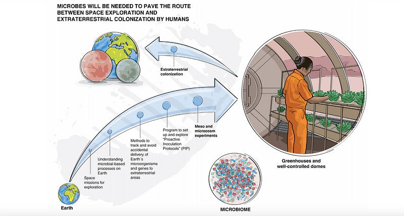 Diagram of bacterial terraforming for Mars