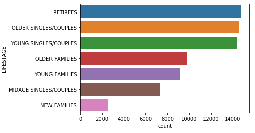 Customer Segmentation Distribution