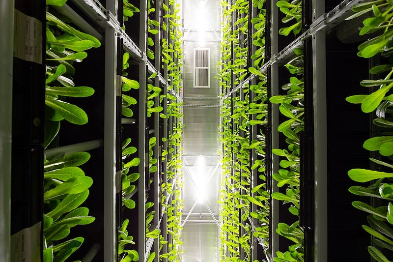 Benefits of vertical farming