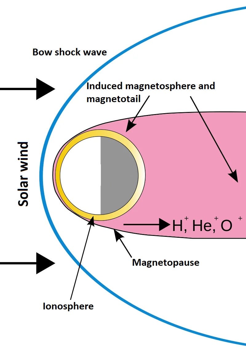 Structure of Venus's induced magnetosphere