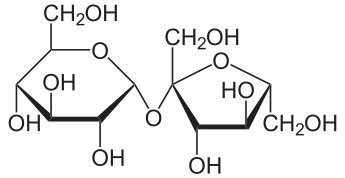 Artificial sweeteners and their effects