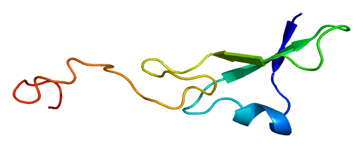 Genetic flow from DNA to proteins in biological systems