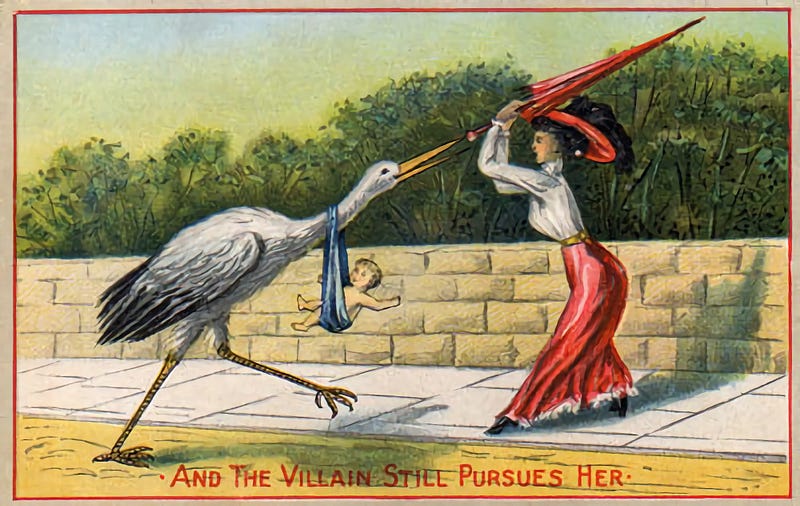 A stork chasing a young woman