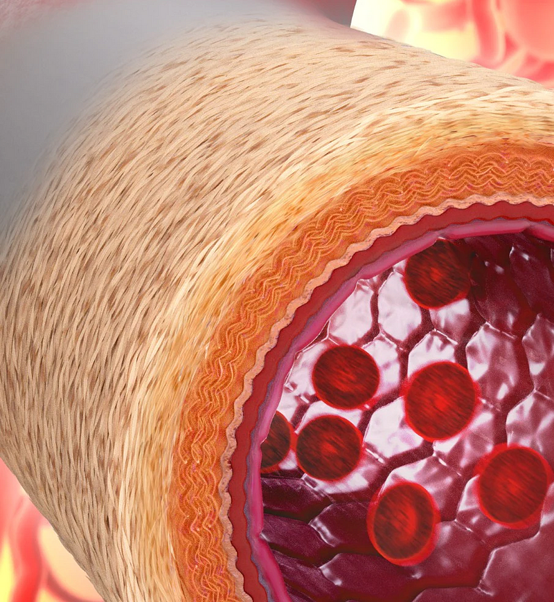 Artist representation of artificial blood vessels