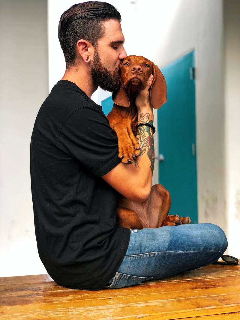 Dog displaying discomfort during face-to-face greeting