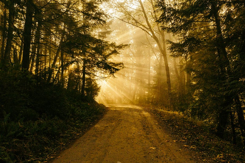 Writer reflecting on their journey