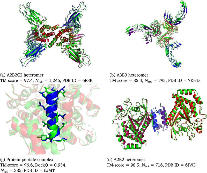 AlphaFold-Multimer structure predictions.